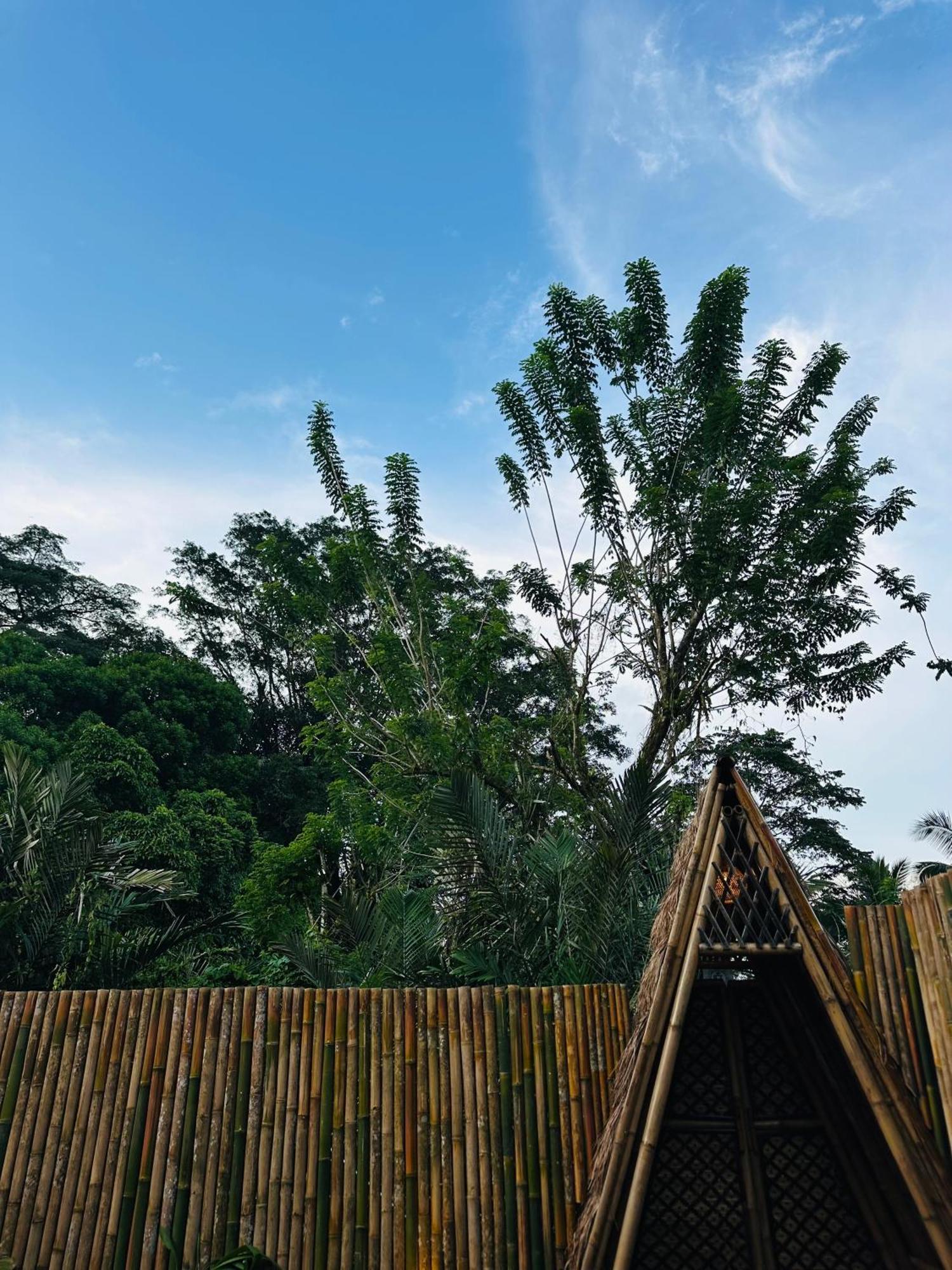Bamboo House - Ecobreeze Villa Sidemen  Luaran gambar